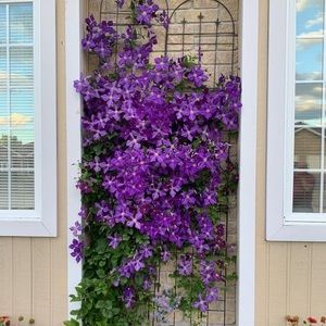 Meet your Posher, Bev